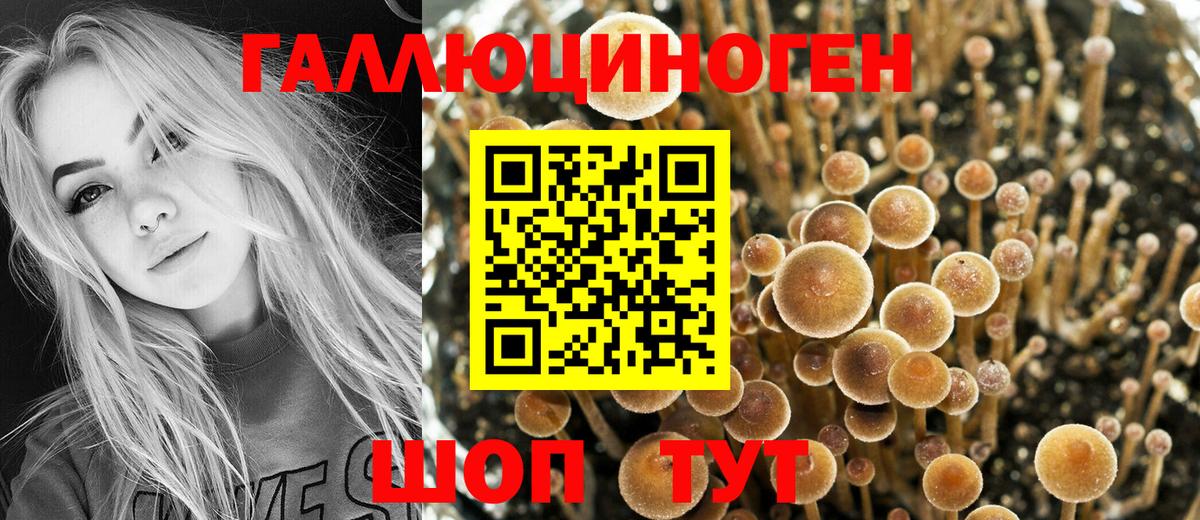 Галлюциногенные грибы Psilocybe  закладки  Кызыл  Вход с VPN  Галлюциногенные грибы GOLDEN TEACHER 